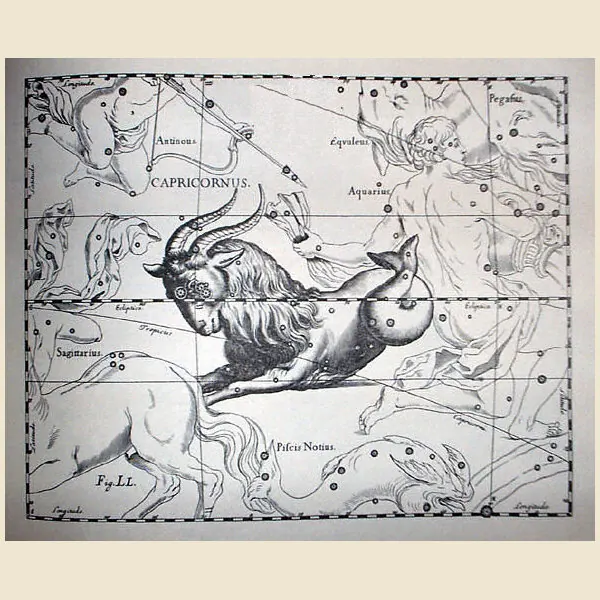 Capricorn
