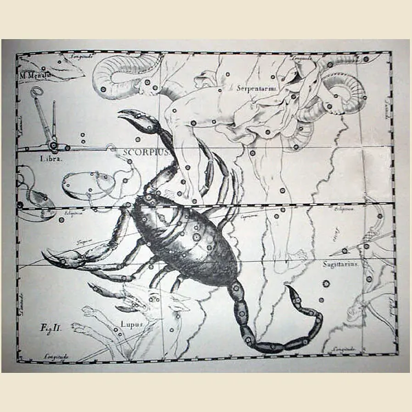 Scorpio