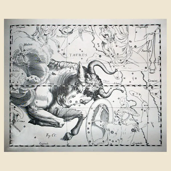 Taurus